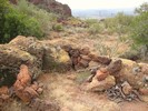 photo thumbnail #11