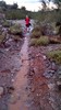 photo thumbnail #14