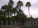 photo thumbnail #9