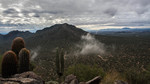 photo thumbnail #12