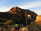 photo thumbnail #5