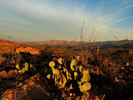 photo thumbnail #6