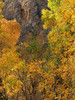 photo thumbnail #15
