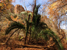 2014-12-11 :3: Super Picket Meander :: outdoor_lover