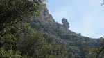 photo thumbnail #13