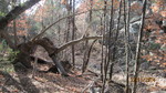 photo thumbnail #11