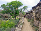 photo thumbnail #4