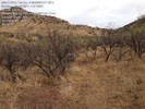 photo thumbnail #10