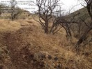 photo thumbnail #11