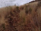 photo thumbnail #15