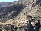 photo thumbnail #8