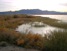 photo thumbnail #12