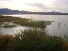 photo thumbnail #13