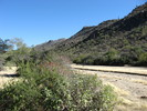 photo thumbnail #4