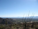 photo thumbnail #7