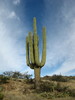 photo thumbnail #13