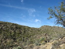 photo thumbnail #15