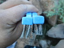 photo thumbnail #6