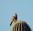 photo thumbnail #13