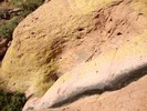 photo thumbnail #14