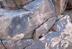 photo thumbnail #14