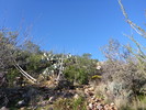 photo thumbnail #10