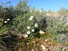 photo thumbnail #11