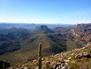 photo thumbnail #13