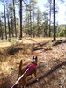 photo thumbnail #1