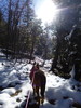 photo thumbnail #5