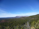 photo thumbnail #6