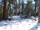 photo thumbnail #10
