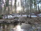 photo thumbnail #13