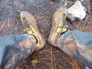 photo thumbnail #14