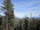 photo thumbnail #4