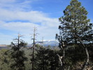 photo thumbnail #7