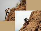 photo thumbnail #8