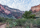 photo thumbnail #1