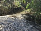 photo thumbnail #13