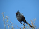 photo thumbnail #6