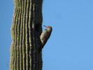 photo thumbnail #7