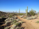 photo thumbnail #12