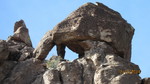 photo thumbnail #3