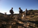 photo thumbnail #1