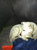 photo thumbnail #14