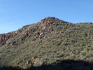 photo thumbnail #1