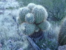 photo thumbnail #8