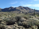 photo thumbnail #1