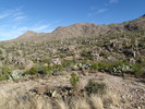 photo thumbnail #2