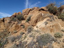 photo thumbnail #8